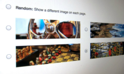 WP Display Header